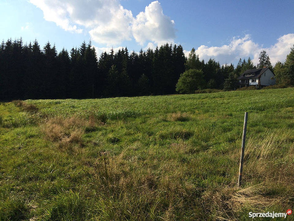 Działka budowlana w górach w Istebnej 7300m2 Grunty i działki Istebna