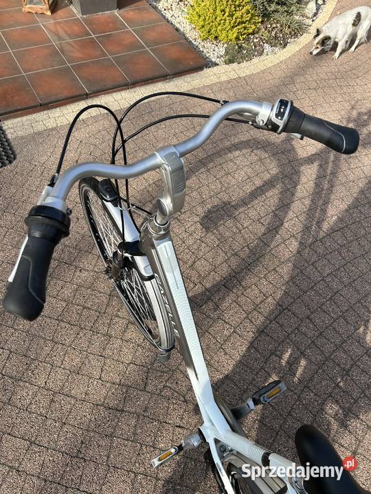 Rower damski Gazelle Chamonix Plus D 53 Kowalew