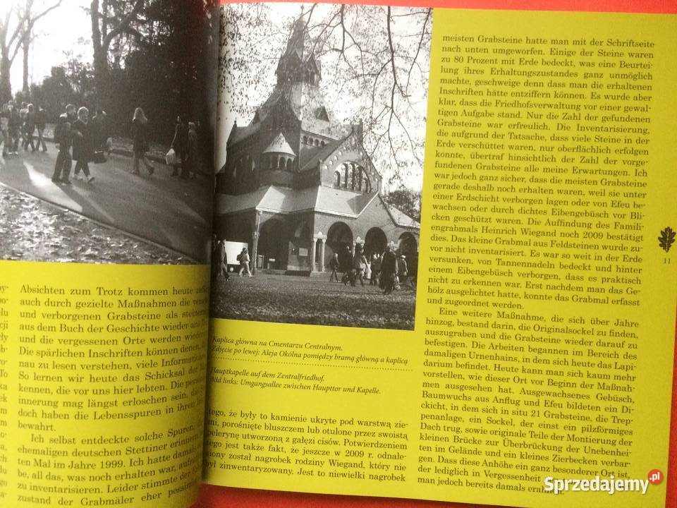 3177 Drzewko Pamięci Szczecin sprzedam