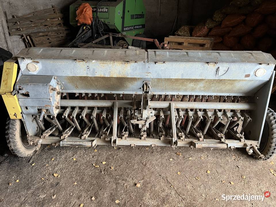 SIEWNIK POZNANIAK Guzy