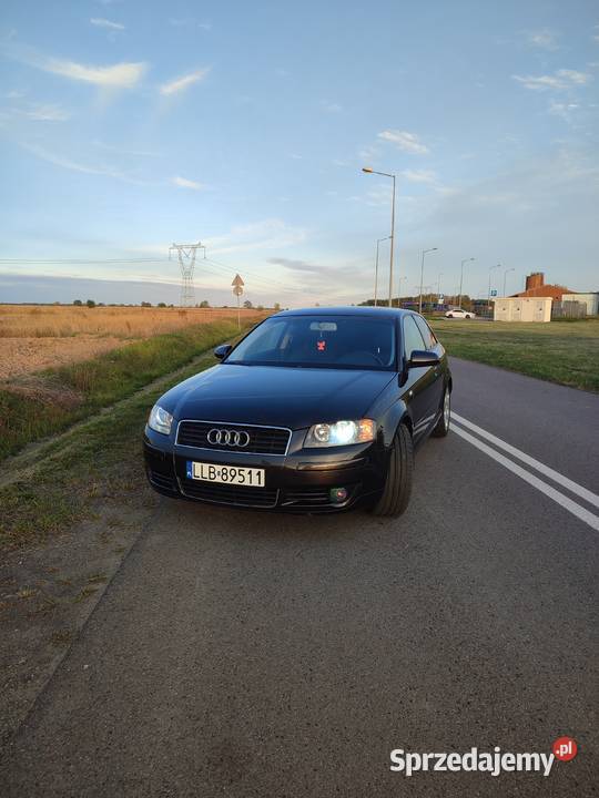 Audi A3 8p 16 Kurów