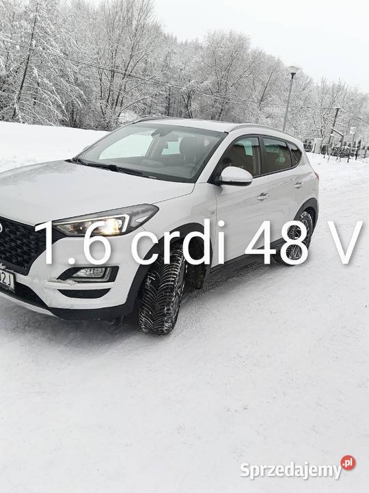 Hyundai Tucson 16 crdi 48 V 2019116 Rok produkcji 2019 małopolskie Tarnów sprzedam