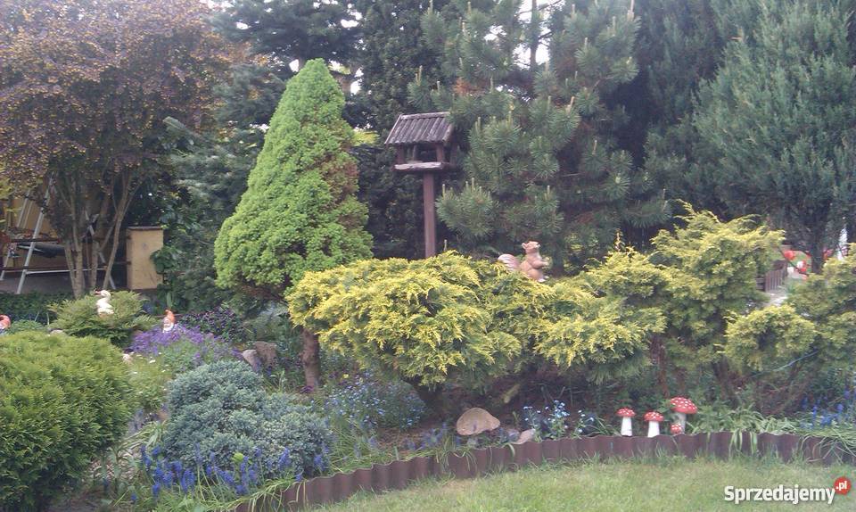 ogródek działkowy Koziegłowy