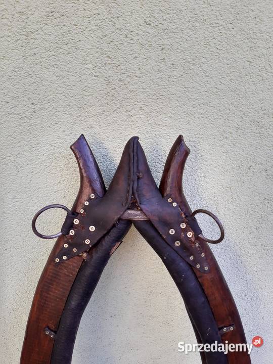 Zadbane chomąto krakowskie z podkładem Sułków