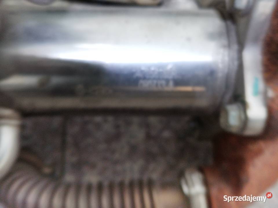 EGR Renault kango Białystok