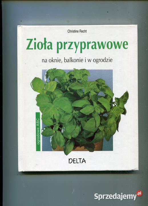 Zioła przyprawowe na oknie balkonie i w ogrodzie Szczecin