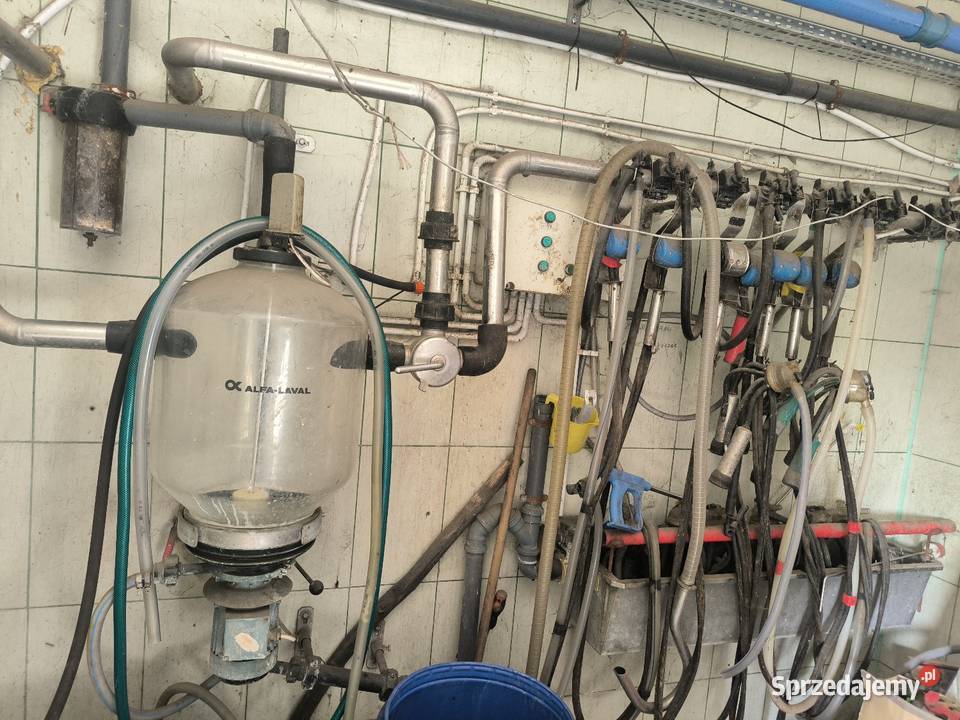 Dojarka przewodowa 8 aparatów delaval gea Krokocice sprzedam