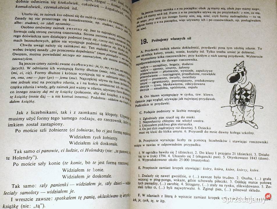 Język polski na co dzień Ewa i Feliks Przyłubscy Chełm sprzedam
