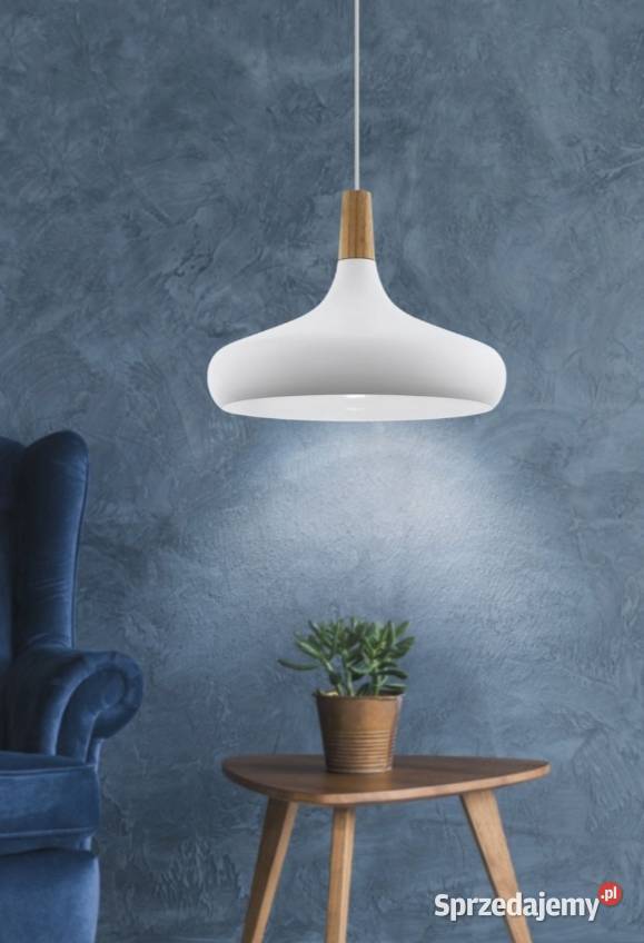 Lampa wisząca Eglo 96983 1 punkty światła E27 Cianowice