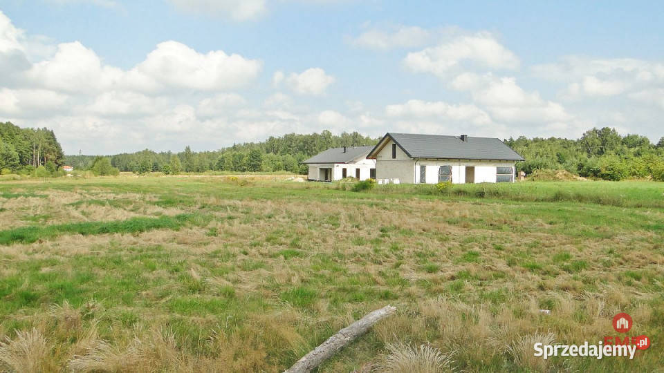 Grunt 10400m2 Zalesiany sprzedam