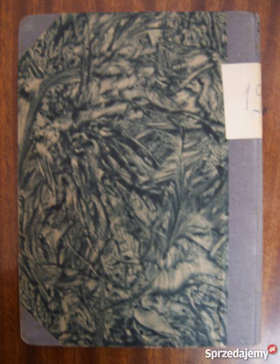 Wanda Pawłowska Peregrynacja Królewicza JMCi Parczew