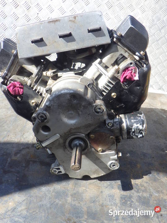 Silnik Spalinowy Tecumseh 2 x Twin Duzy 2 Rzeszów