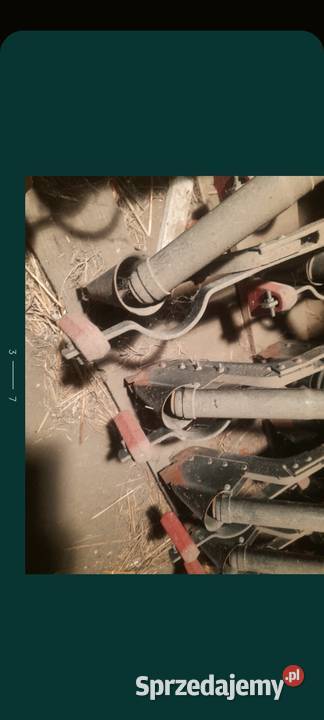 Siewnik Poznaniak Jaksin