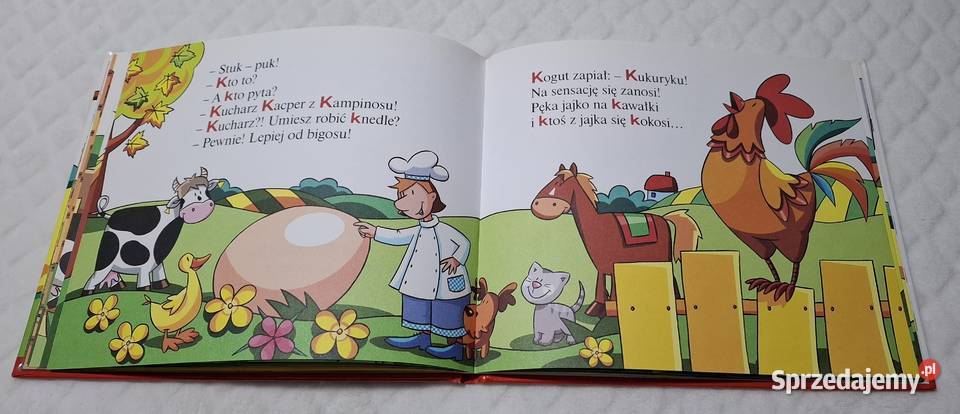 ABC Uczę się K krokodyl Strzałkowska Hachette Czeladź