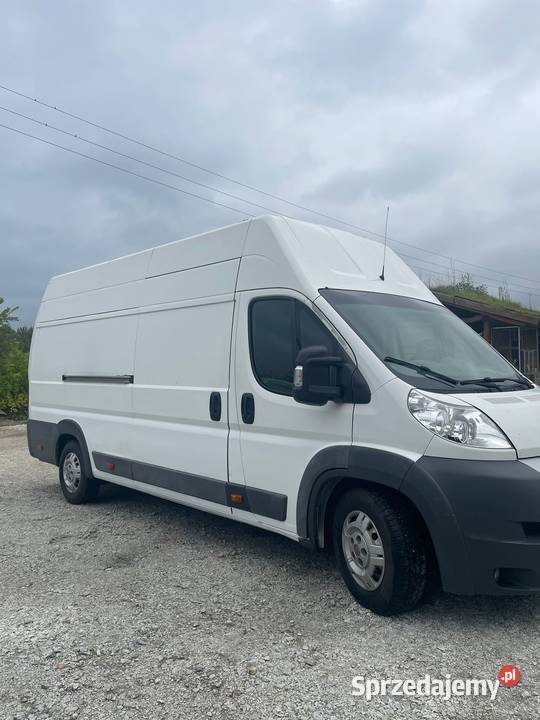 Ducato 30 maxi Motoryzacja Siedlisko