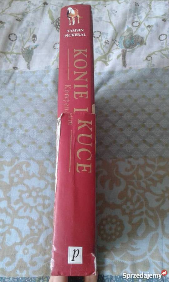 Konie i kuce Kompedium Jastrzębie-Zdrój sprzedam