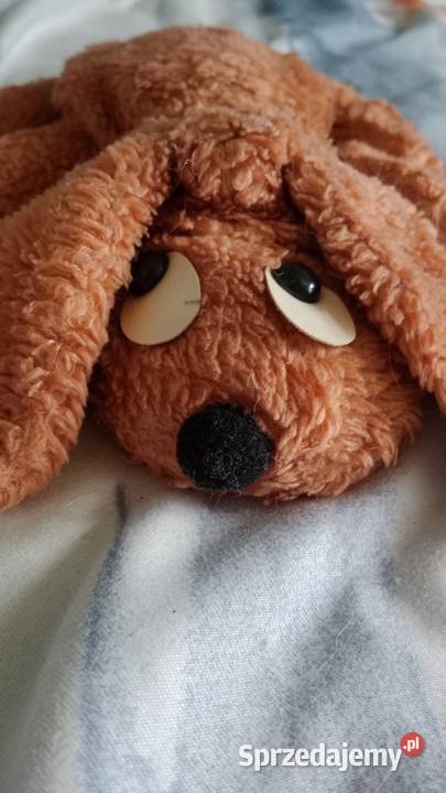 Maskotka Uroczy Pluszowy Piesek z Czasów PRLu Maskotki śląskie Ruda Śląska