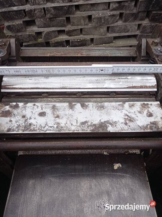 Grubościówka niemiecka Frommia 30 Hrebenne