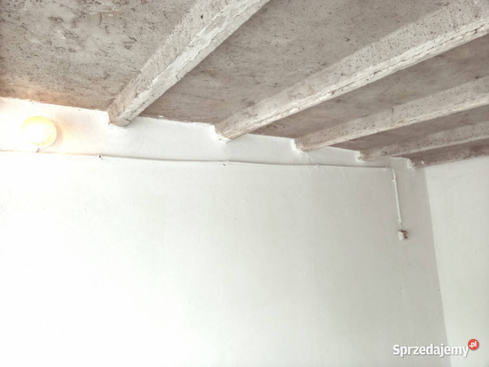 Wynajem garaż w zabszereg 165 m2 Opole Chabry dojazd asfaltowy