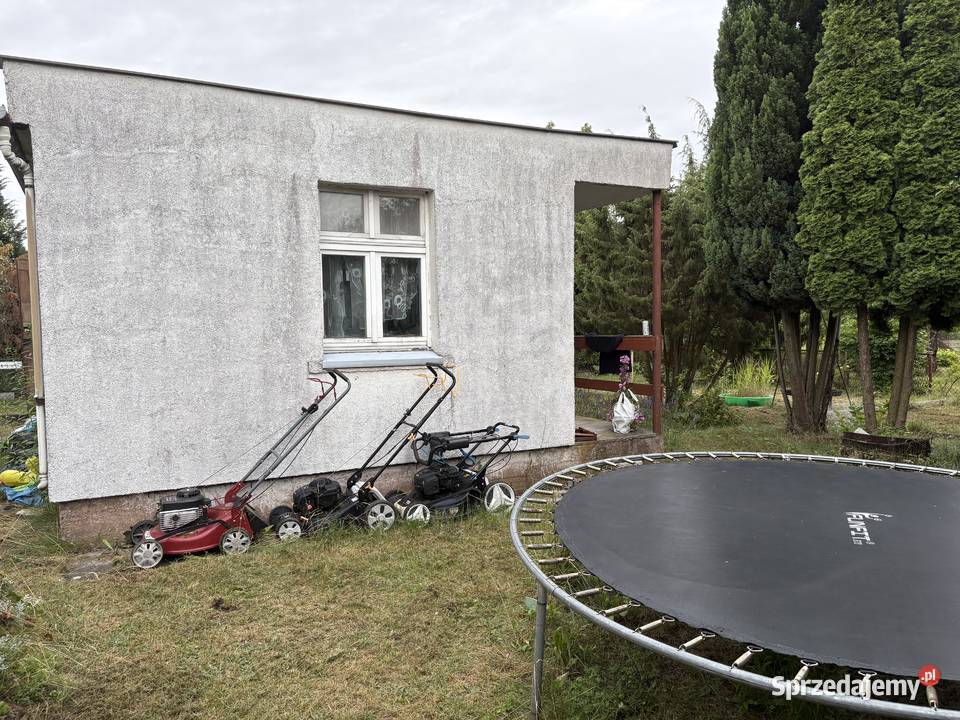 Działka ROD Bydgoszcz Łochowska cisza i spokój Sprzedaż