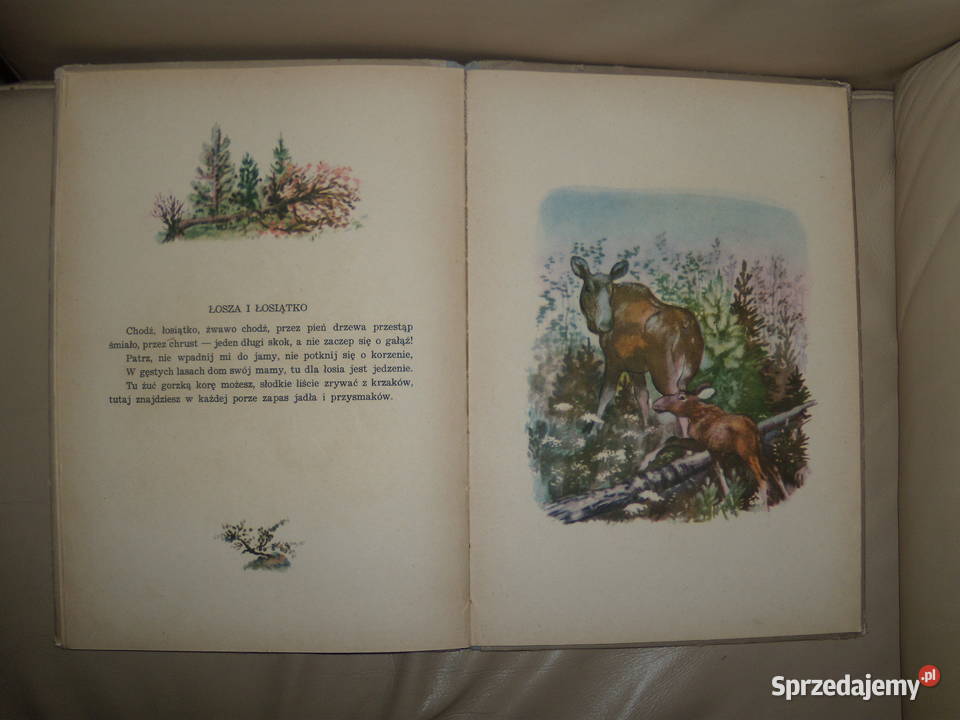 Dzieci leśne E Czaruszyn Rok wydania 1955 Warszawa sprzedam