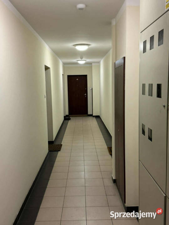 Mieszkanie do wynajęcia 49m2 2 pokojowe z