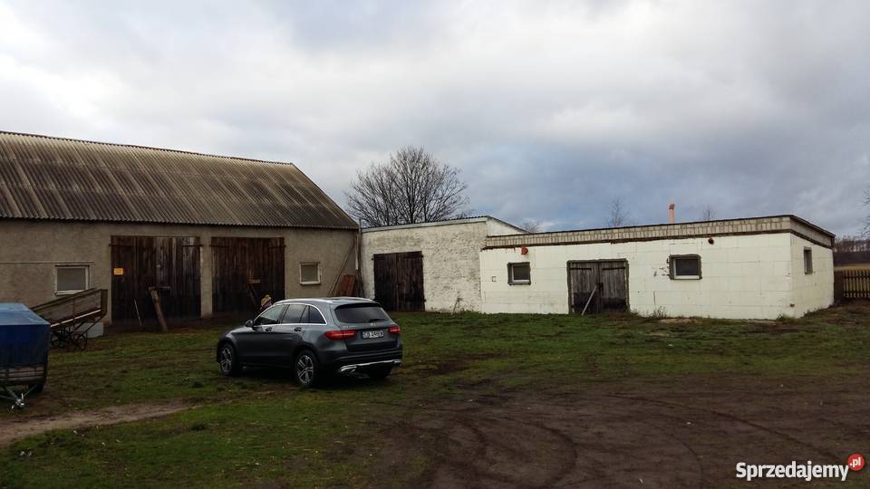 sprzedam gospodarstwo rolne Gierłoż Polska woda Grunty i działki warmińsko-mazurskie