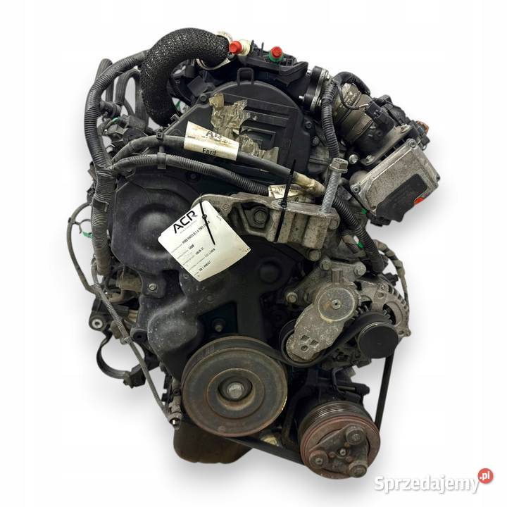 SILNIK G8DD Ford Focus II MK2 C C 16 TDCI 109 lubelskie
