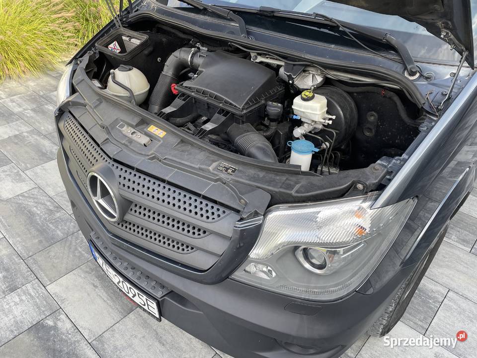 MERCEDES SPRINTER 906 313 CDI HAK Pierwszy