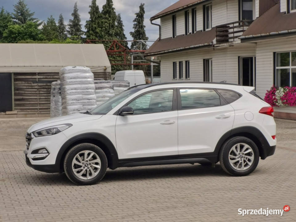 Hyundai Tucson Navi Kamera Serwis III 20152020 Nowy Sącz