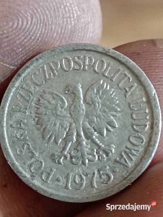 Sprzedam 10 gr 1975r zzm Chełm