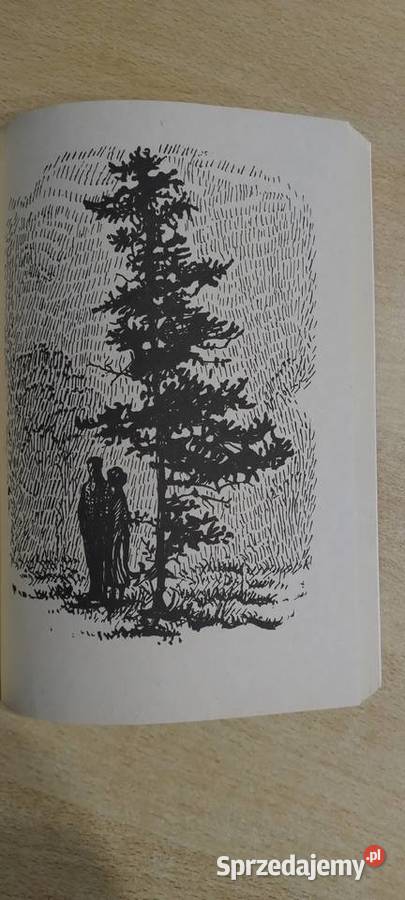 Rolla ze złotego brzegu lubelskie Lublin