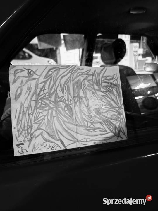 Sprzedam Własne Kamil Krysztofiak dzieła Gubin