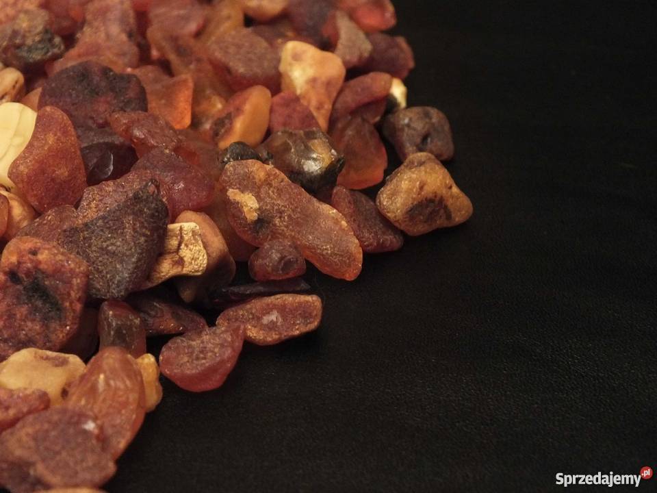 Bursztyn bałtycki Kąty Rybackie