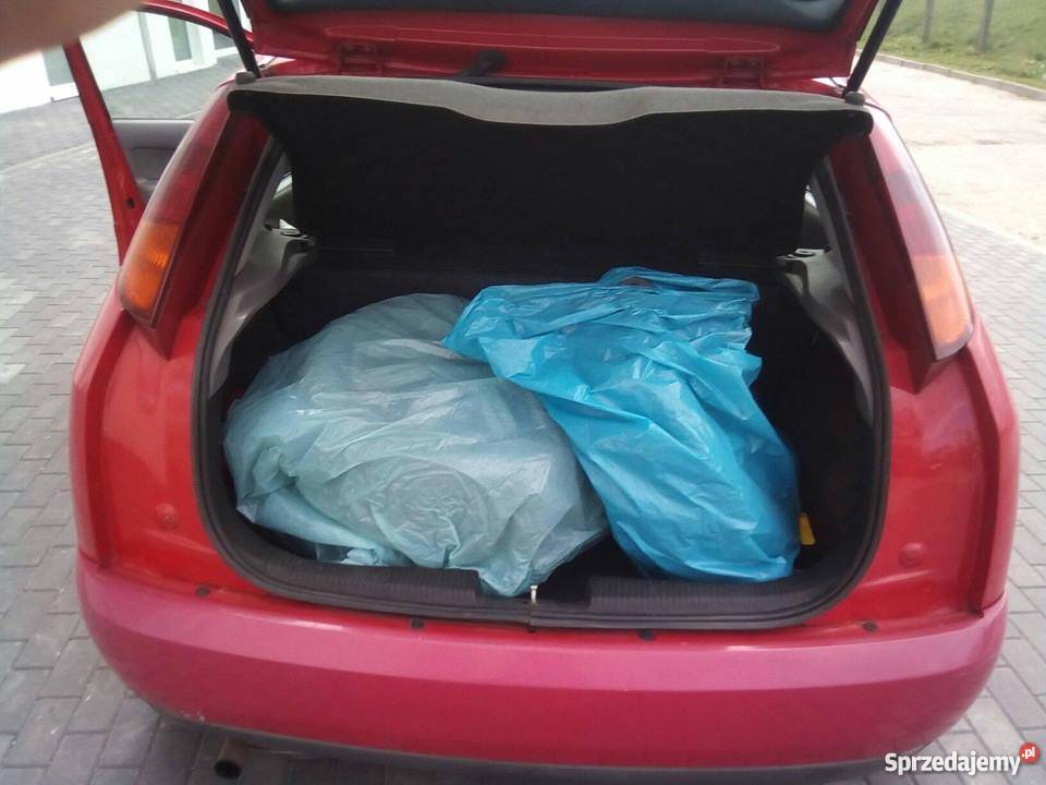 ford focus 14 16 v 75 koni 2980 do negocjacji Toruń