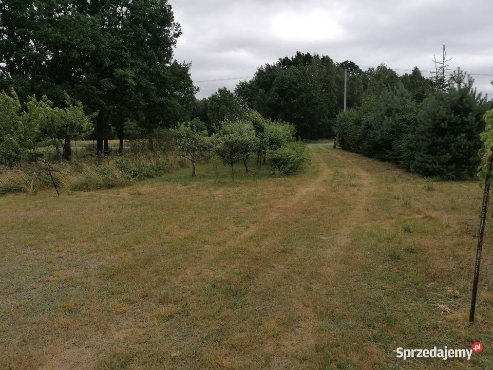 Działka z WZ 11 664 m Aleksandrów gm Jakubów 349 mazowieckie