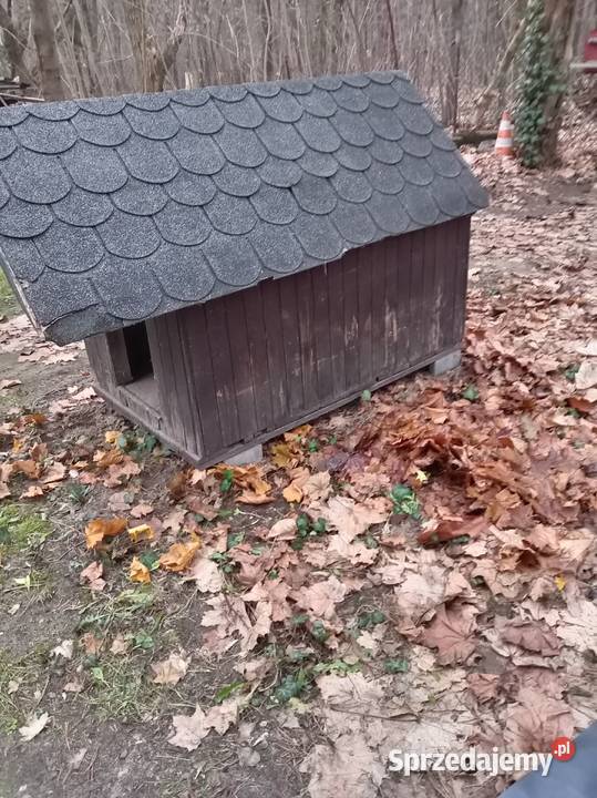 Buda psa Owczarek Warszawa sprzedam