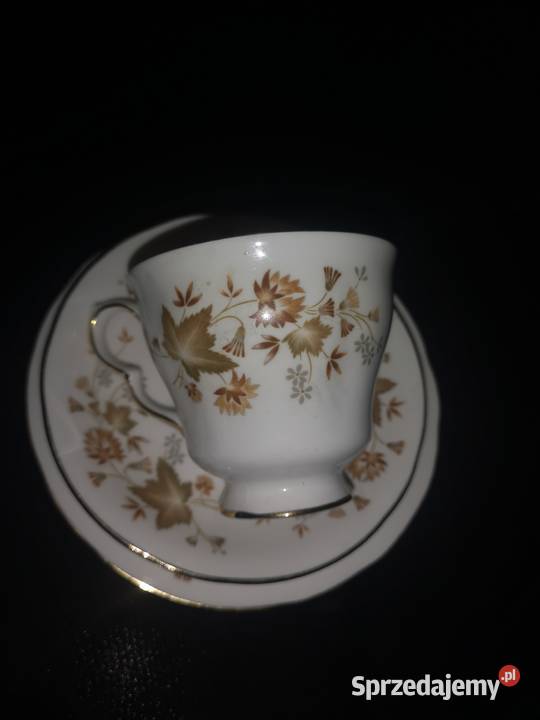 Filiżanka z talerzykiem Cocclough Jesienne Porcelana i szkło Gdańsk