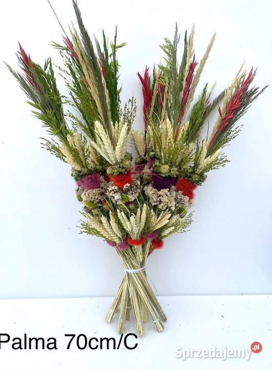 PRODUCENT PALM WIELKANOCNYCH HURT NAJNIŻSZA Lublin