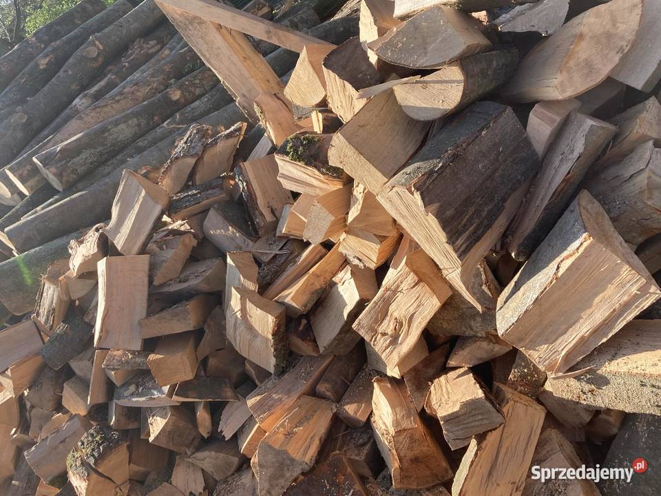 Drewno kominkowe Szczecin