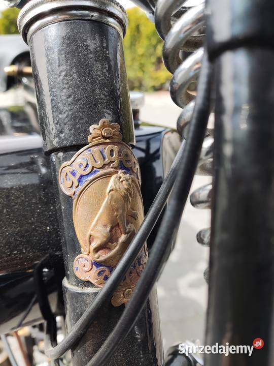 Najstarszy Peugeot w Polsce P102B nieuszkodzony Żory