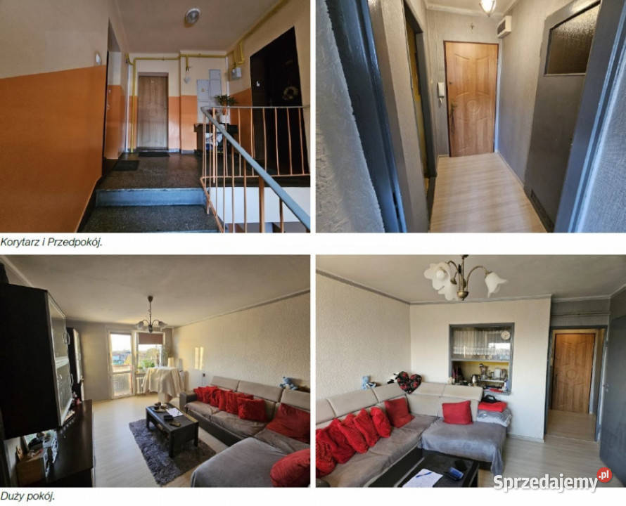 Syndyk sprzeda mieszkanie w Chałupkach 38m2 Chałupki