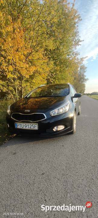KIA Ceed 16 crdi Konstantynów Łódzki sprzedam