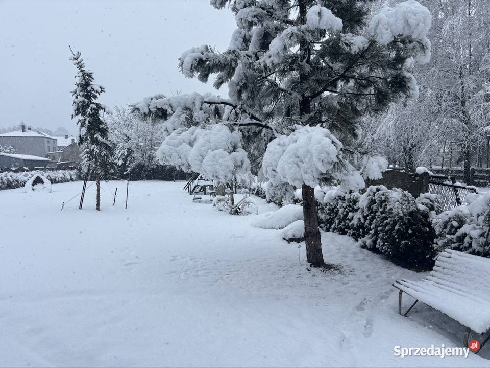 Sprzedam dom Zawiercie Nieruchomości