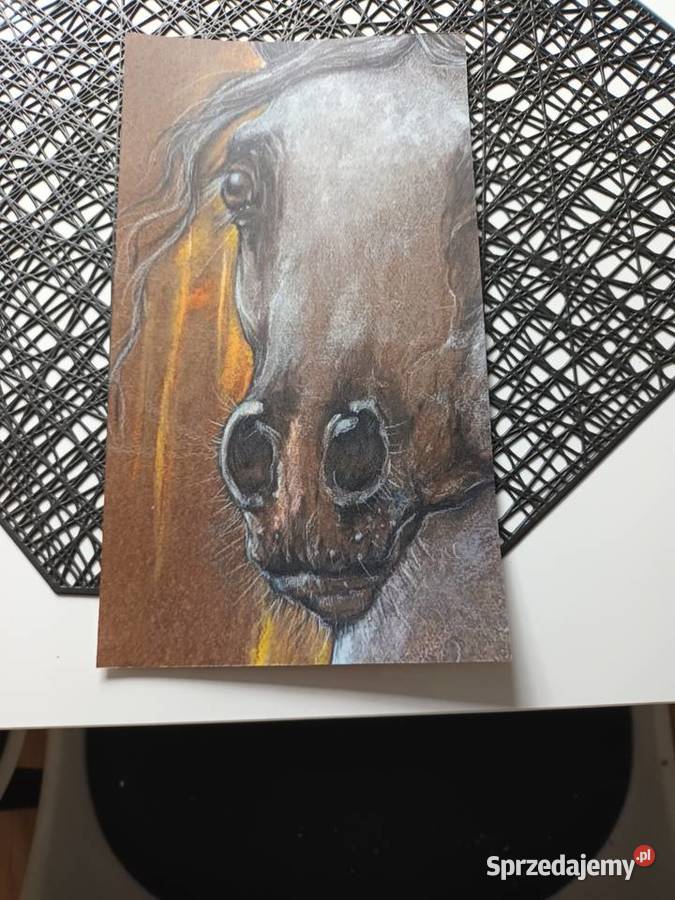 Sprzedam zestaw szkiców