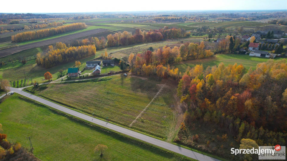 Działka 4182m2 TeodorówkaKolonia szambo Teodorówka-Kolonia