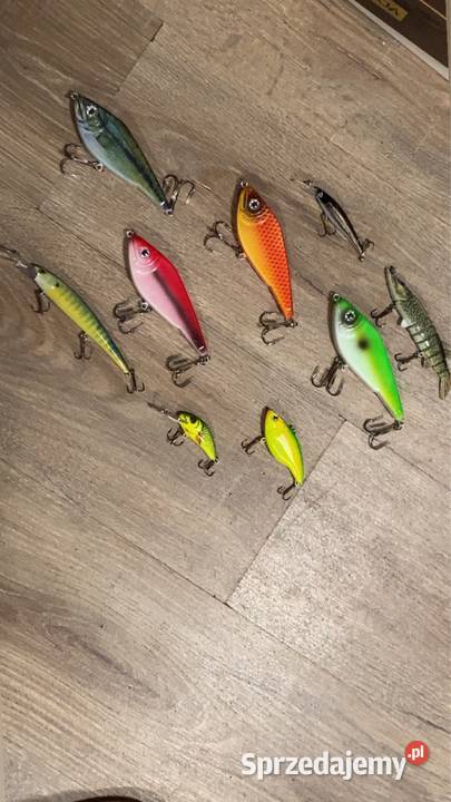 Przynęty na spinning woblery Pozostałe wielkopolskie Kotlin