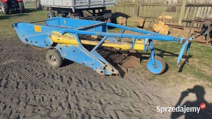 Kopaczka dwurzędowa Kopaczki Ostrówiec