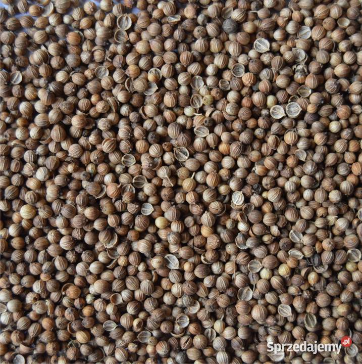 Mieszanka Obszary z roślinami miododajnymi Puławy sprzedam