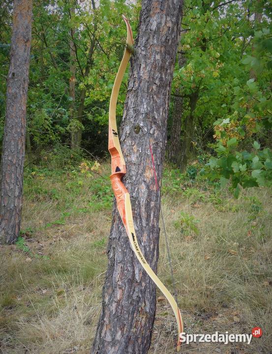 Łuk do polowania hunter savannah 4550 lbs hunter małopolskie Nowy Sącz sprzedam